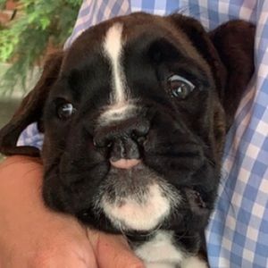 Meet your Posher, Vivi